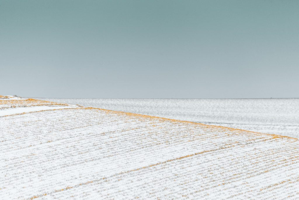 martin adams hjiv tvr4m8 unsplash