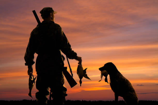 silhouettes of the duck hunter and his dog with prey on the sunset background