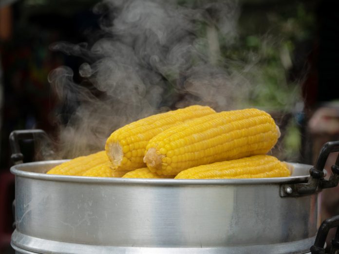 sweet corn steamed pot