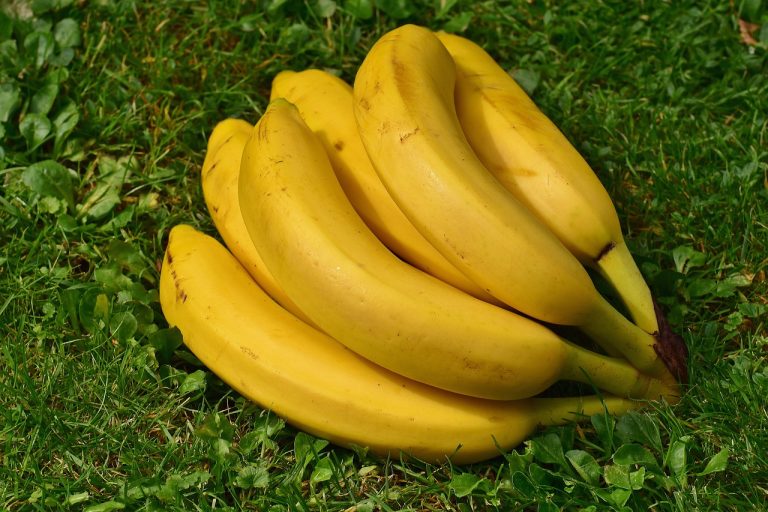 coji de banane in gradina