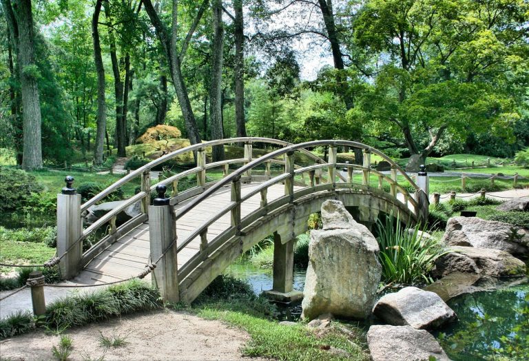 ce flori se planteaza in mai in gradina