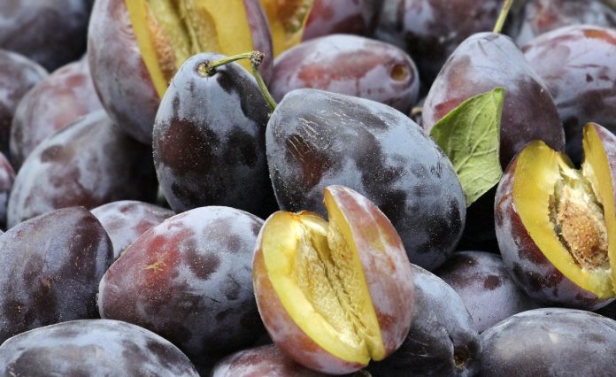 orientarea altoiului la plantarea pomilor fructiferi