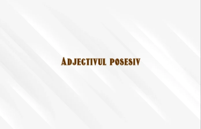 adjectiv posesiv