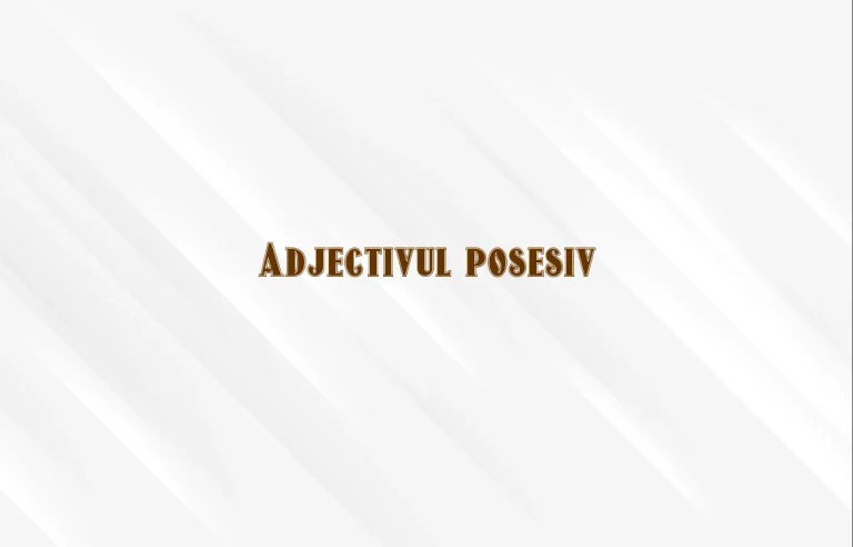 adjectiv posesiv