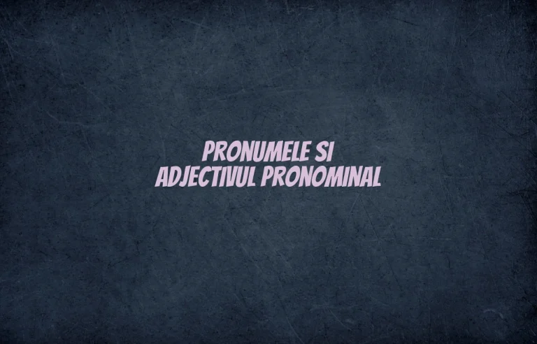 pronumele si adjectivul pronominal