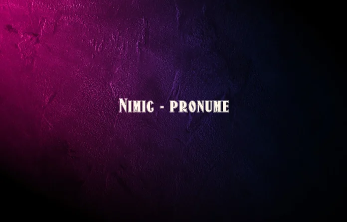 nimic pronume