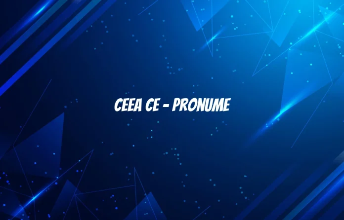 ceea ce pronume