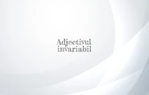 adjectiv invariabil