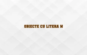 obiecte cu litera w