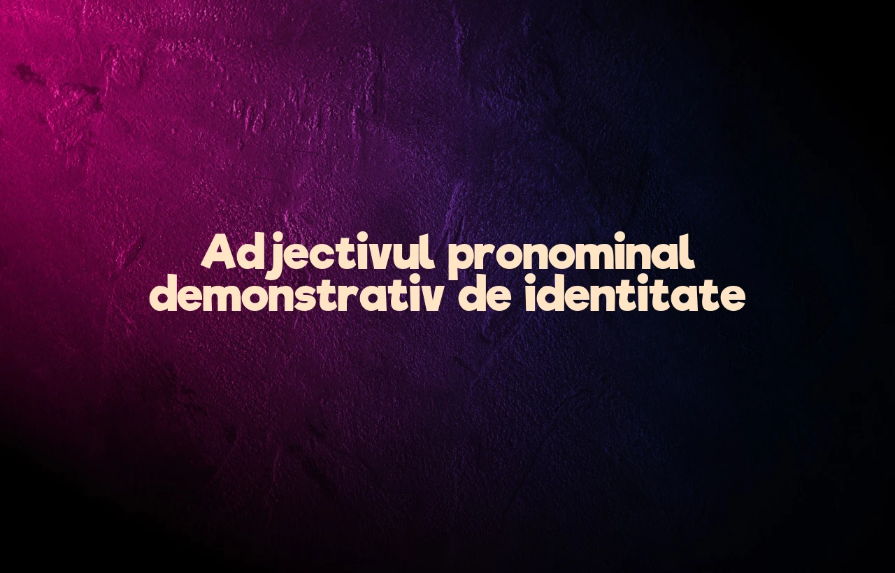 adjectiv pronominal demonstrativ de identitate