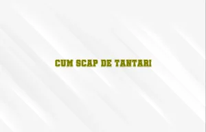 cum scap de tantari