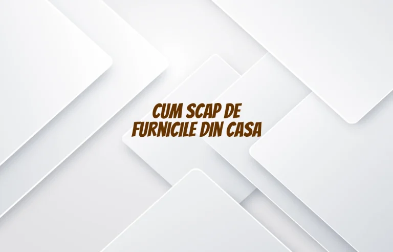 cum scap de furnicile din casa