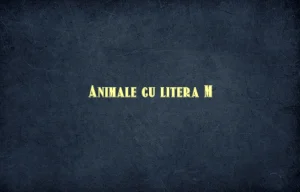 animale cu litera m