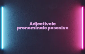 adjective pronominale posesive