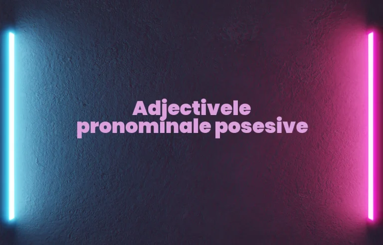 adjective pronominale posesive