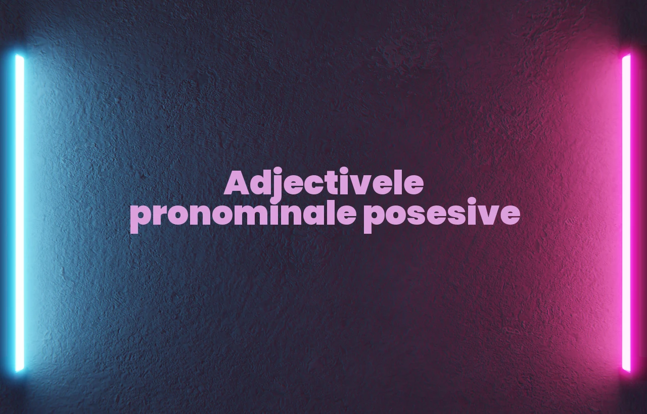 adjective pronominale posesive