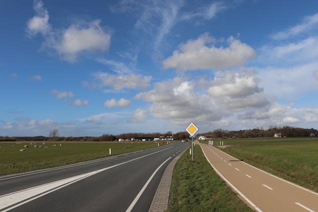 julia taubitz jzwwznh7drq unsplash