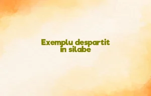 exemplu despartit in silabe