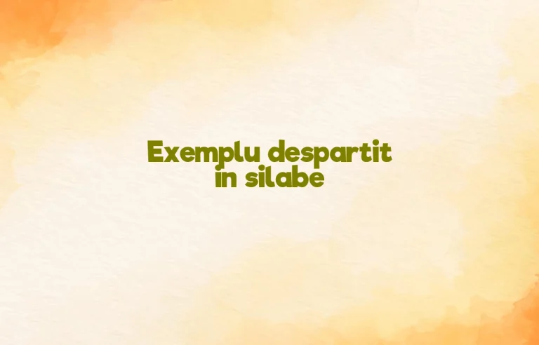 exemplu despartit in silabe