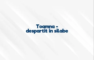 toamna despartit in silabe