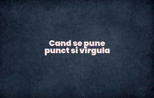 cand se pune punct si virgula