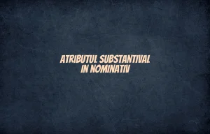atribut substantival in nominativ