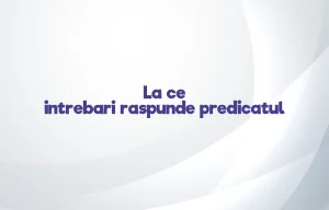 la ce intrebari raspunde predicatul