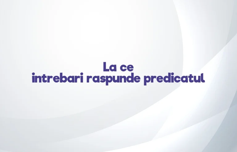 la ce intrebari raspunde predicatul