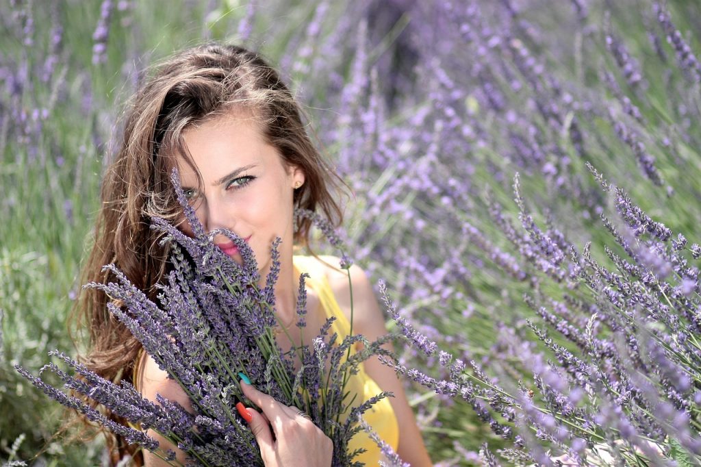 cand infloreste lavanda