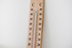 pana la ce temperatura rezista muscatele afara