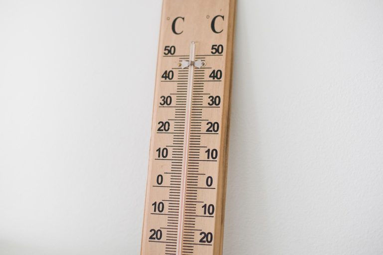 pana la ce temperatura rezista muscatele afara