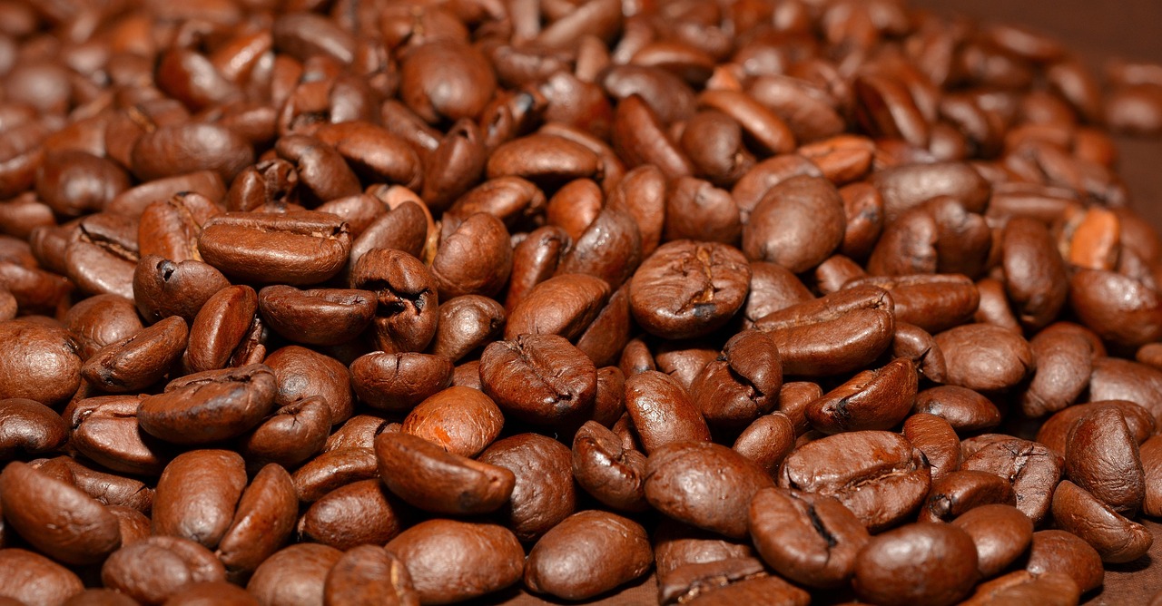 zat de cafea pentru orhidee